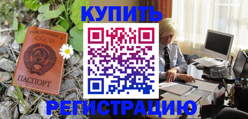 временная регистрация недорого в Шуе